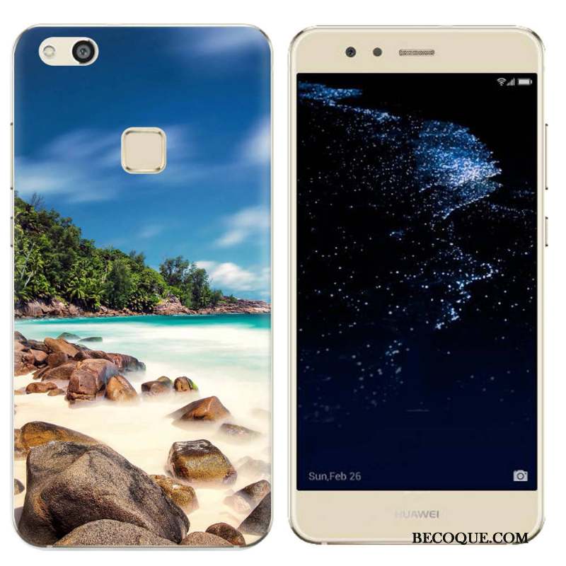 Huawei P10 Lite Paysage Coque Fluide Doux Téléphone Portable Peinture De Téléphone