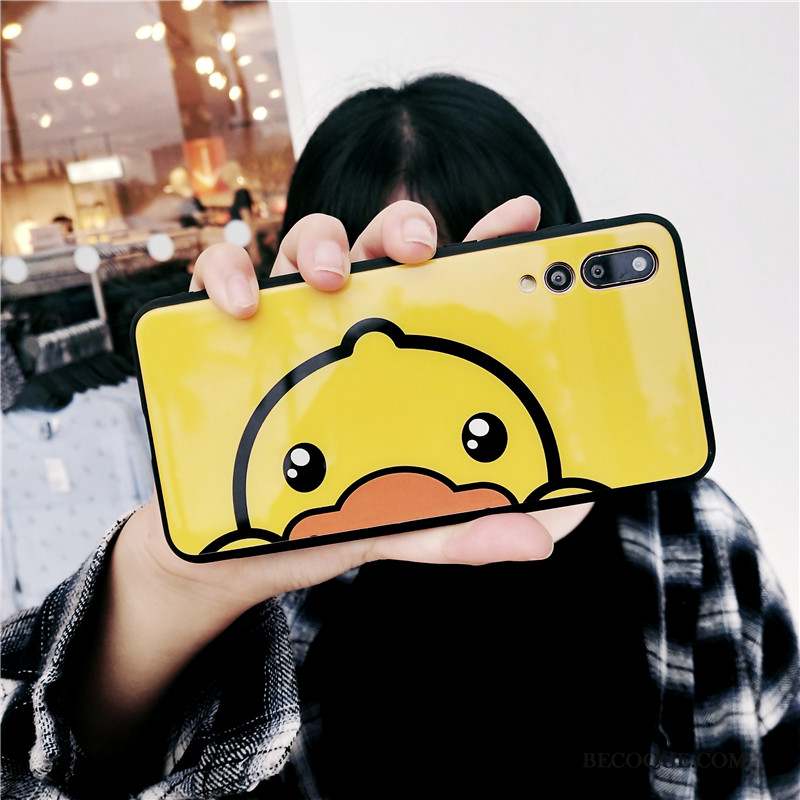 Huawei P20 Pro Coque Protection Verre Canard Amoureux Nouveau Étui