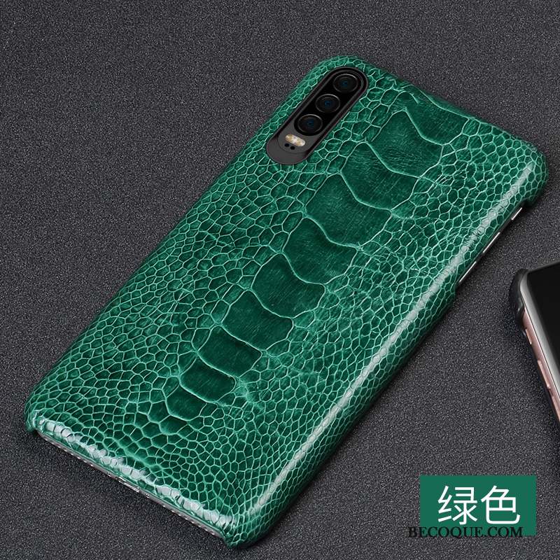 Huawei P30 Coque Oiseau Incassable Couvercle Arrière Étui En Cuir Personnalité Créatif