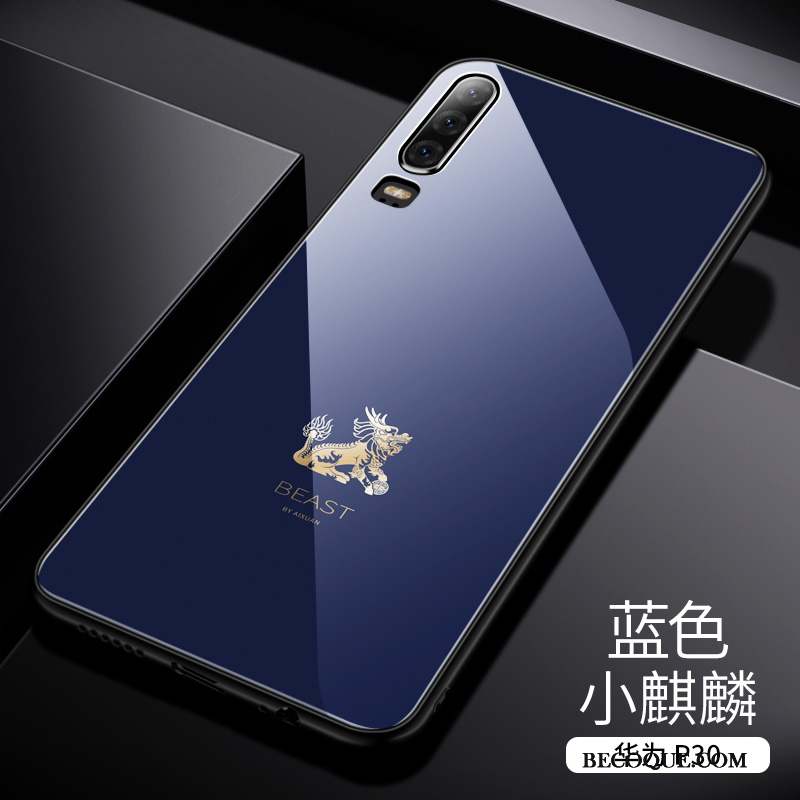 Huawei P30 Coque Silicone Protection Bleu Verre Couvercle Arrière Tendance