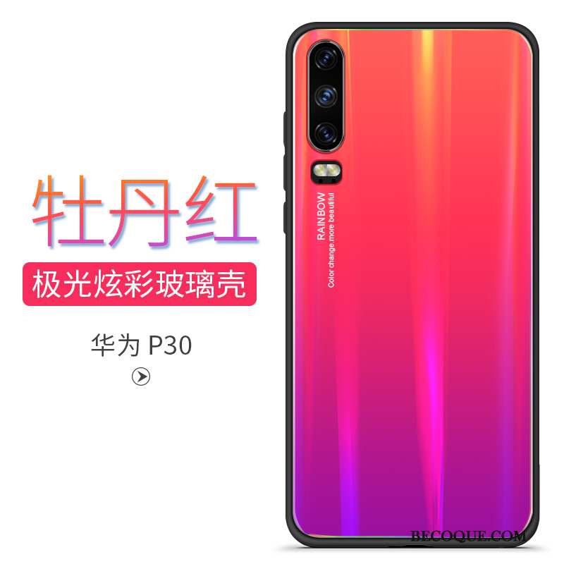 Huawei P30 Nouveau Étui Silicone Coque Marque De Tendance Tout Compris