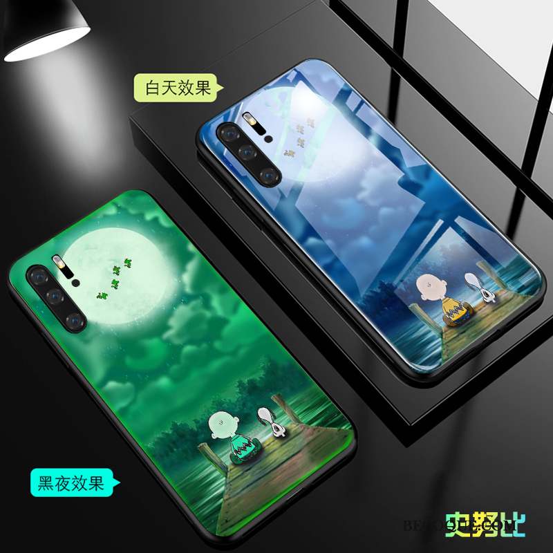 Huawei P30 Pro Coque Lumineuses Marque De Tendance Verre Personnalité Étui Tout Compris