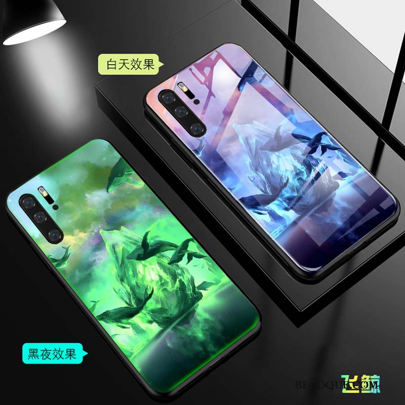 Huawei P30 Pro Coque Lumineuses Marque De Tendance Verre Personnalité Étui Tout Compris