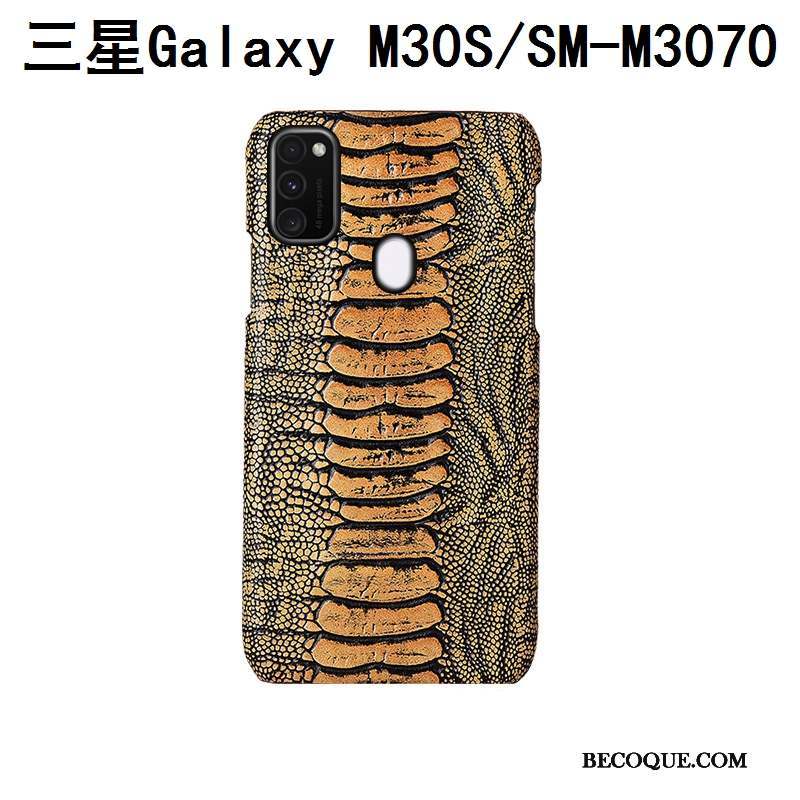 Samsung Galaxy M30s Bleu Oiseau Coque De Téléphone Couvercle Arrière Luxe Mode