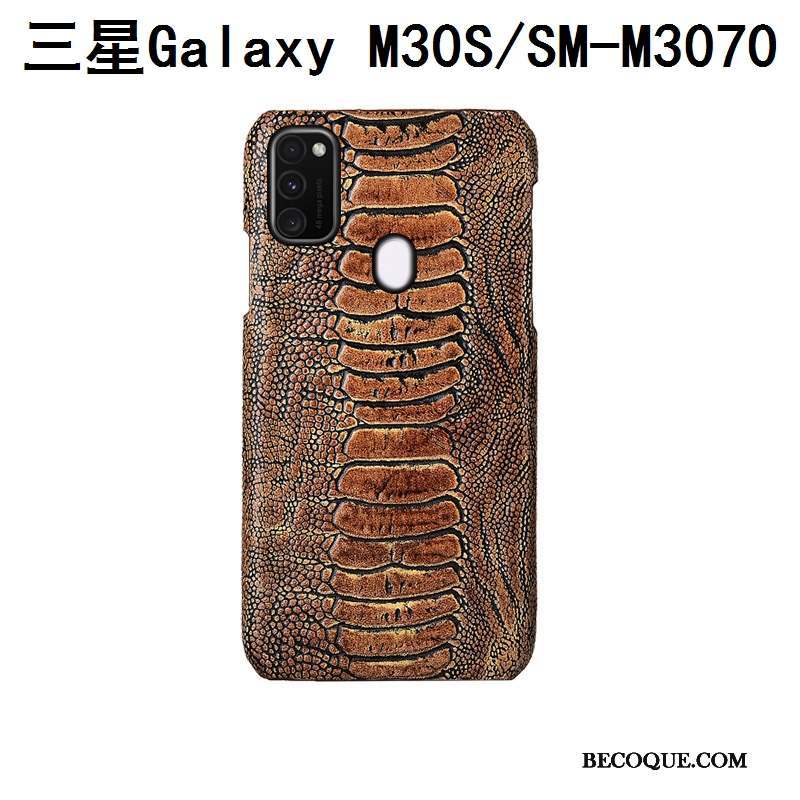 Samsung Galaxy M30s Bleu Oiseau Coque De Téléphone Couvercle Arrière Luxe Mode