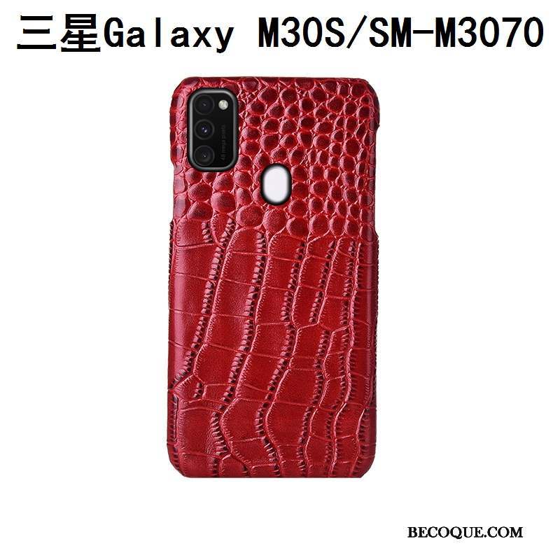 Samsung Galaxy M30s Oiseau Personnalisé Coque De Téléphone Protection Étui Incassable