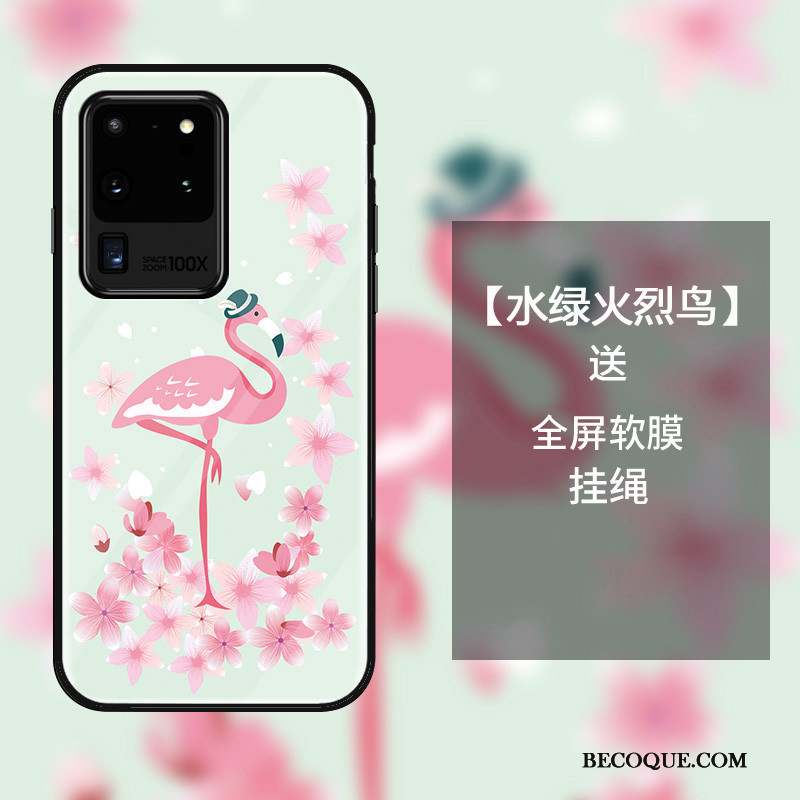 Samsung Galaxy S20 Ultra Personnalité Coque De Téléphone Verre Oiseau Protection Incassable