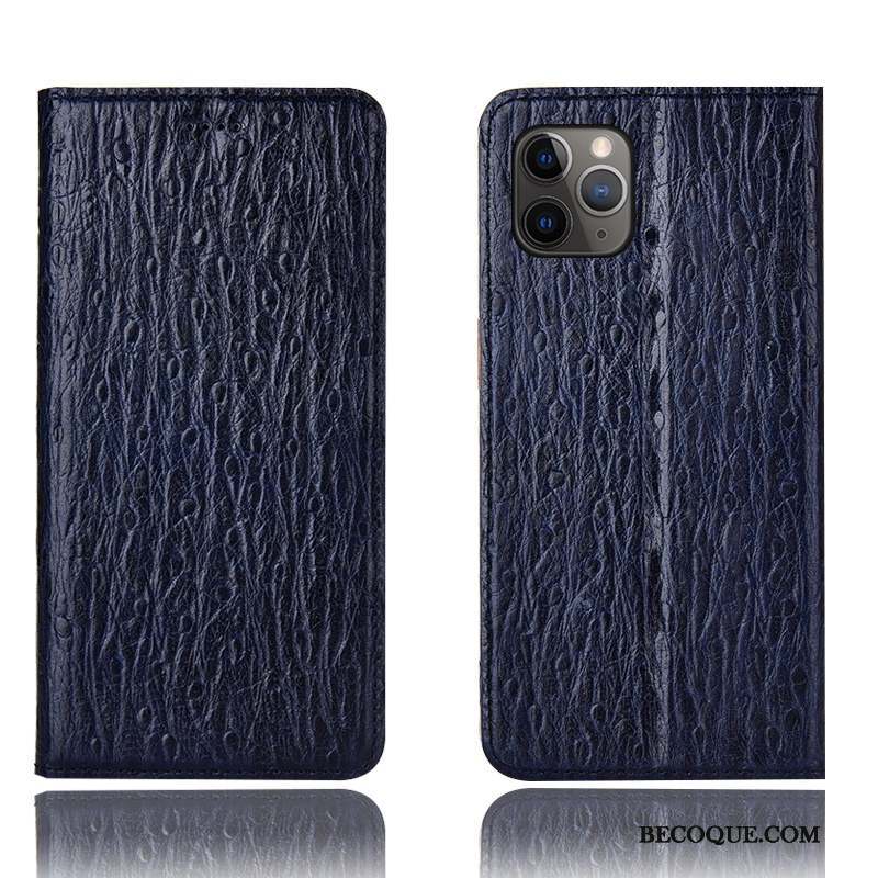 iPhone 11 Pro Coque De Téléphone Oiseau Incassable Protection Cuir Véritable Housse