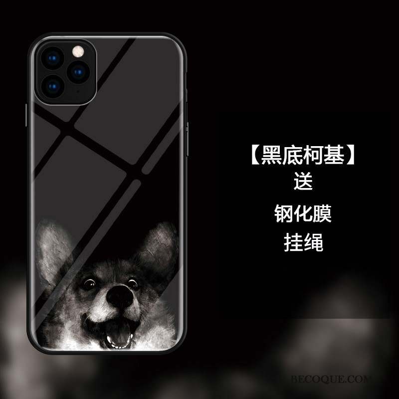 iPhone 11 Pro Coque Drôle Verre Noir Protection Tout Compris Étui