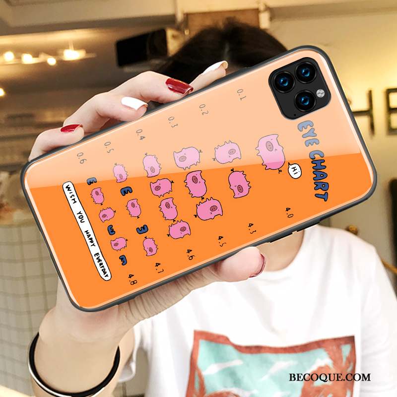 iPhone 11 Pro Coque Incassable Nouveau Verre Rose Amoureux Tout Compris