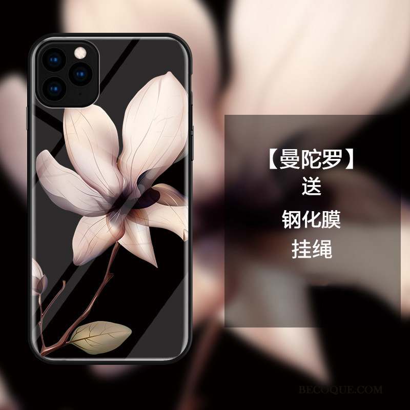 iPhone 11 Pro Coque Incassable Protection Verre Noir Simple Luxe