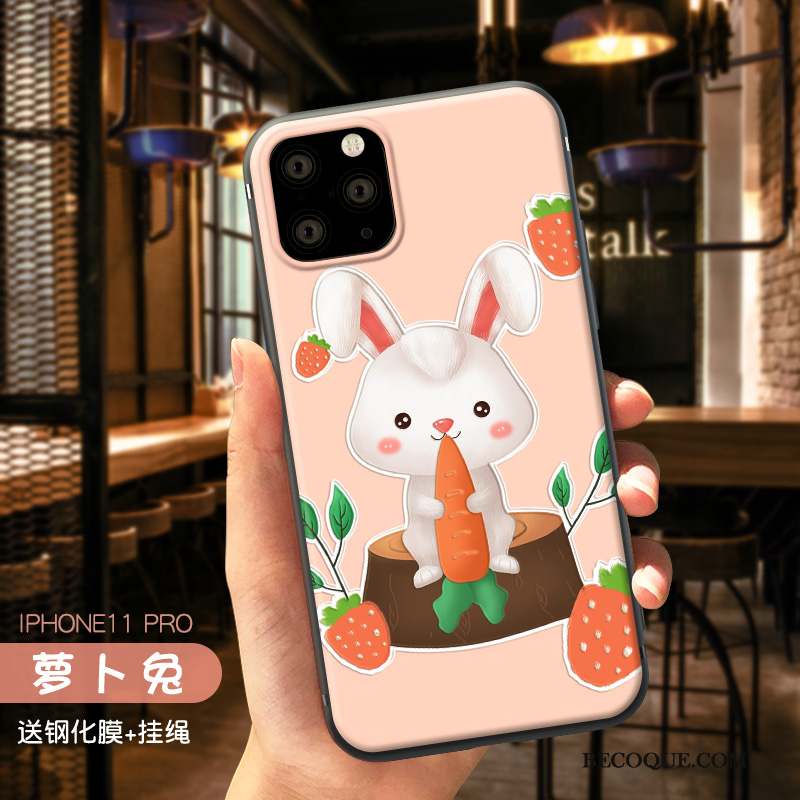 iPhone 11 Pro Coque Étui Marque De Tendance Charmant Rose Créatif Délavé En Daim