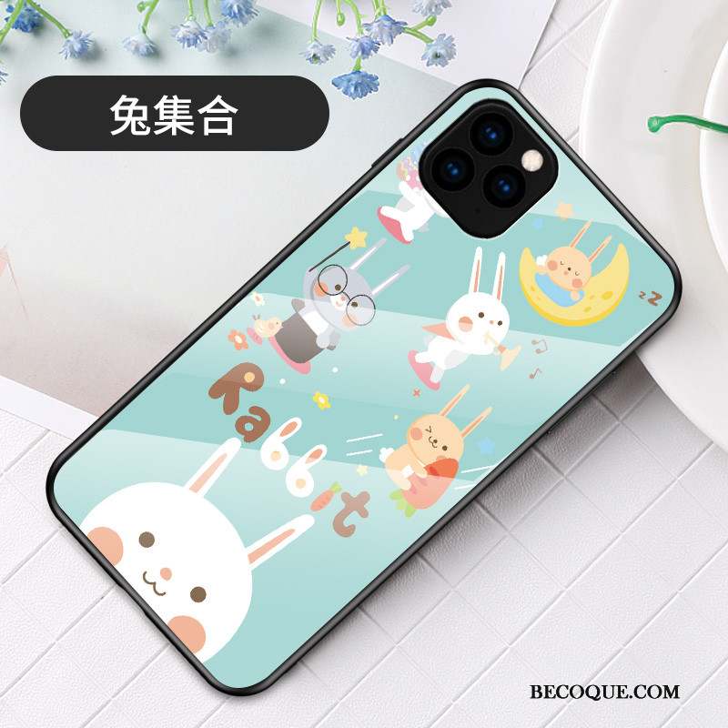 iPhone 11 Pro Max Coque Charmant Étui Dessin Animé Tendance Verre Protection