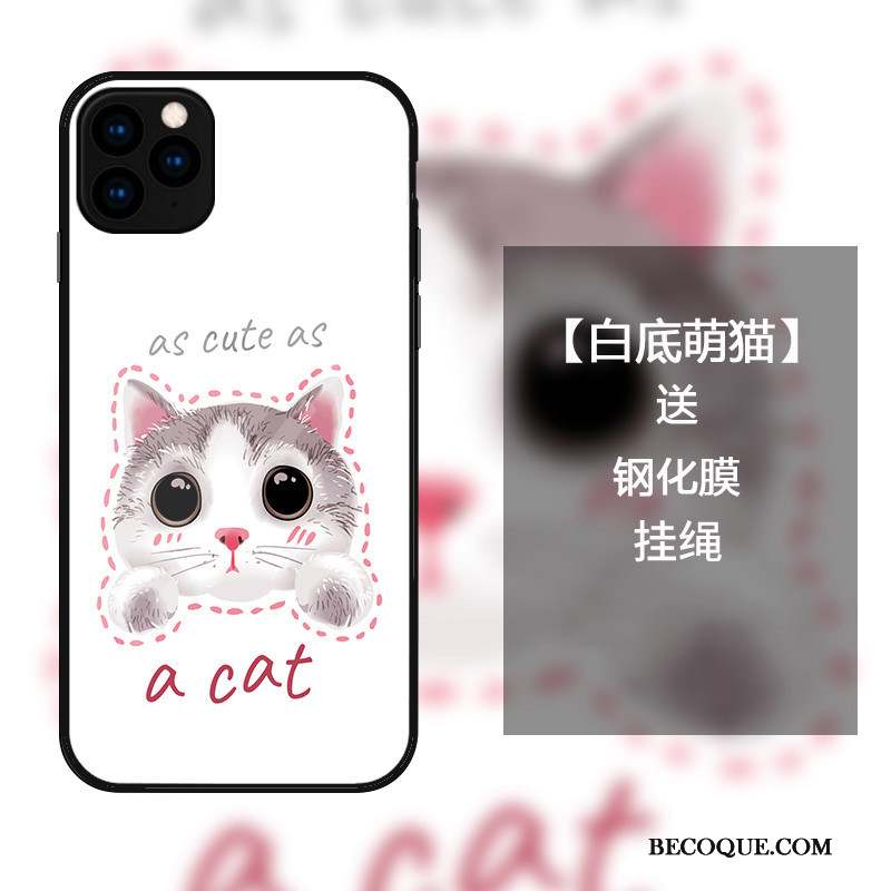 iPhone 11 Pro Max Coque Chat Protection Charmant Amoureux Incassable Verre