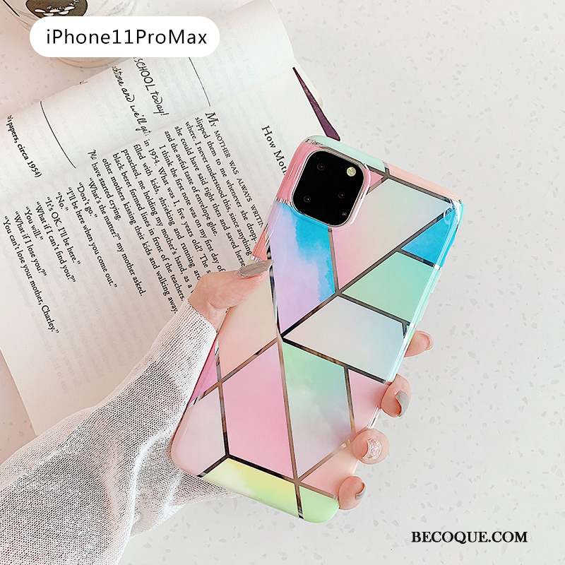 iPhone 11 Pro Max Coque Tout Compris Frais Bleu Vert Rose Petit