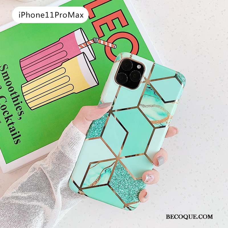 iPhone 11 Pro Max Coque Tout Compris Frais Bleu Vert Rose Petit