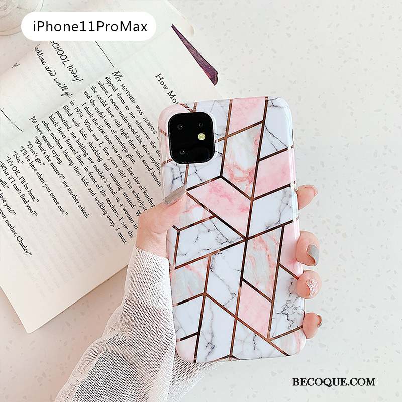 iPhone 11 Pro Max Coque Tout Compris Frais Bleu Vert Rose Petit
