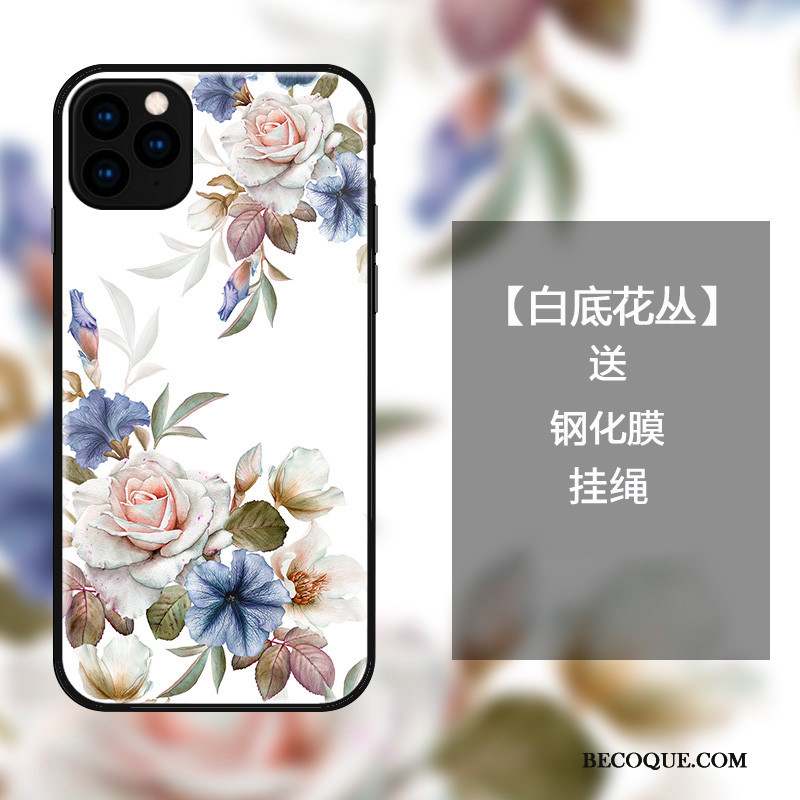 iPhone 11 Pro Max Coque Verre Oiseau Incassable Mode Protection Étui