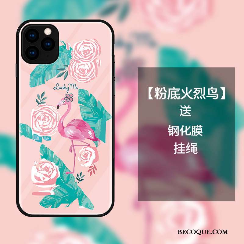 iPhone 11 Pro Max Coque Verre Oiseau Incassable Mode Protection Étui