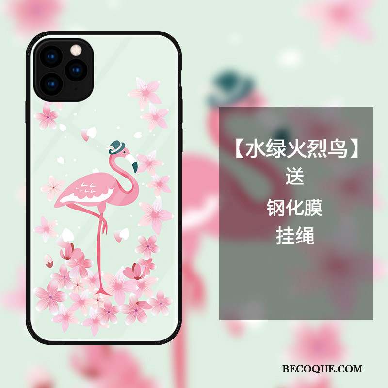 iPhone 11 Pro Max Coque Verre Oiseau Incassable Mode Protection Étui