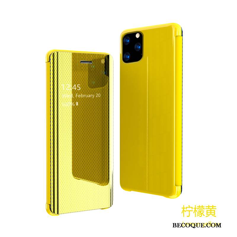 iPhone 11 Pro Max Élégant Coque De Téléphone Incassable Miroir Modèle Fleurie Transparent