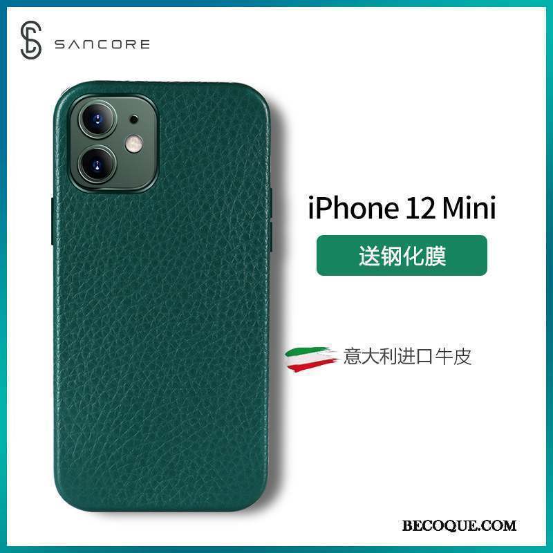 iPhone 12 Mini Incassable Luxe Net Rouge Tendance Qualité Coque De Téléphone