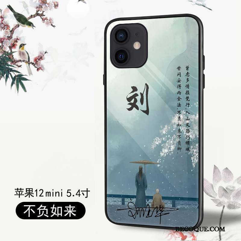 iPhone 12 Mini Tout Compris Coque De Téléphone Vert Légères Personnalité Protection