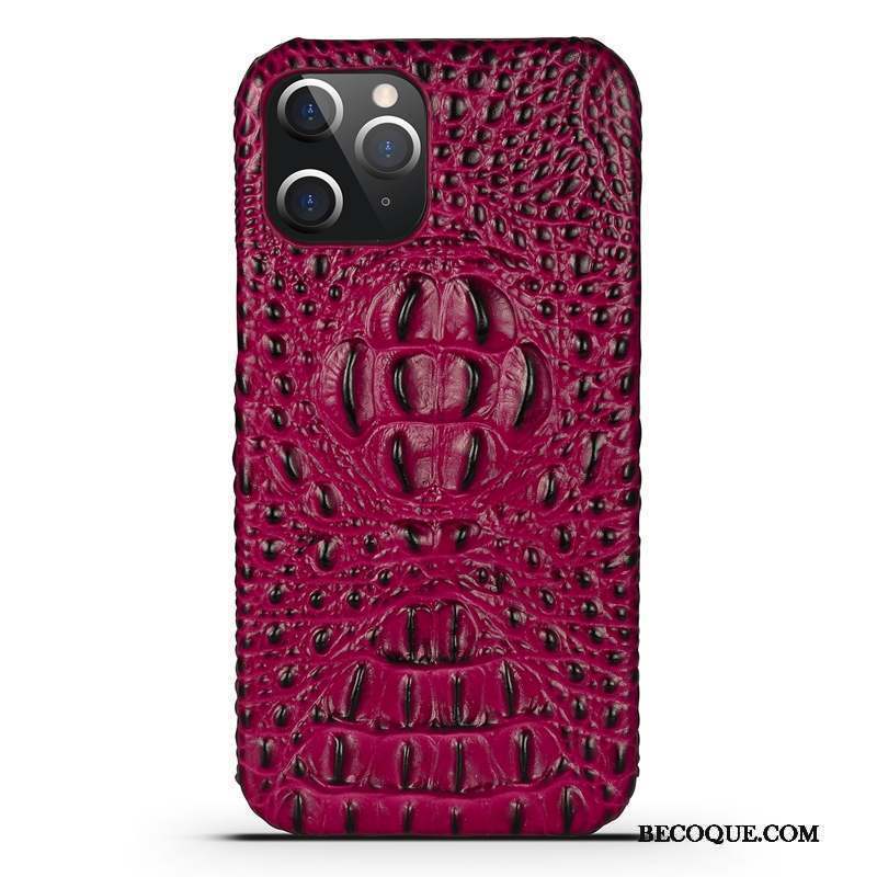 iPhone 12 Pro Max Protection Coque De Téléphone Net Rouge Noir Luxe Tout Compris