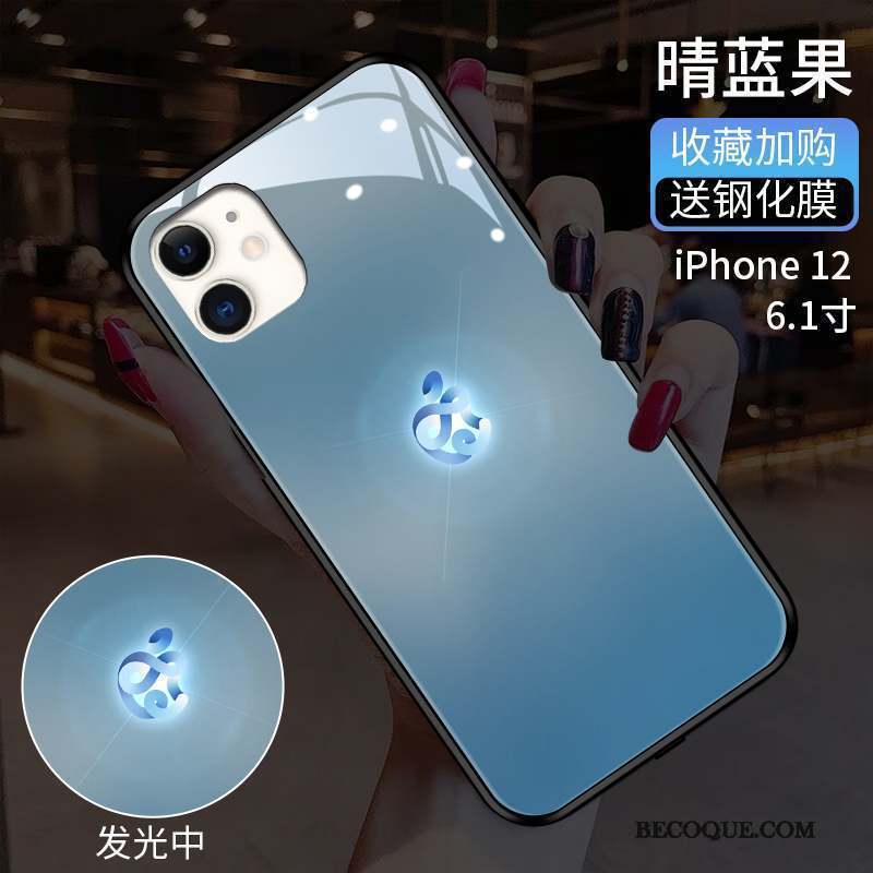 iPhone 12 Étui Protection Verre Coque De Téléphone Tout Compris Mode