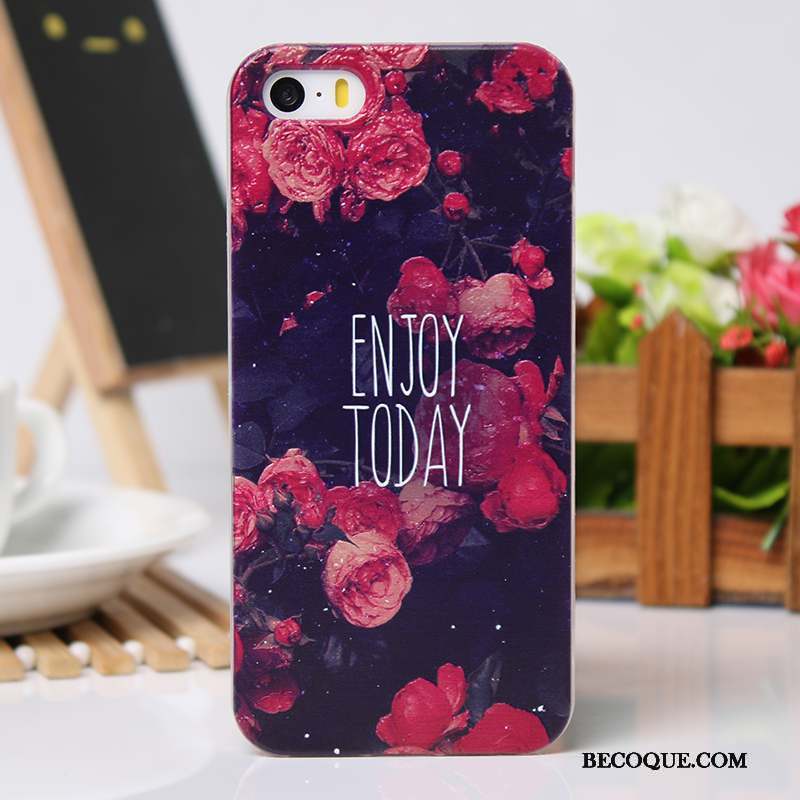 iPhone 5/5s Coque Protection Gaufrage Étui Nouveau Cool