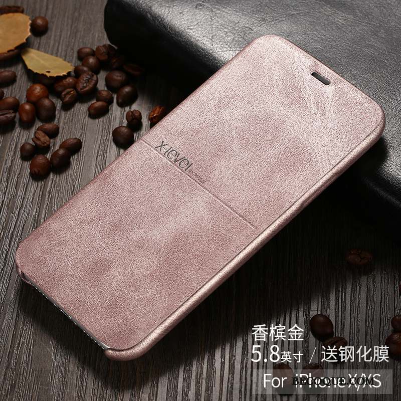 iPhone Xs Coque De Téléphone Incassable Noir Business Étui Très Mince