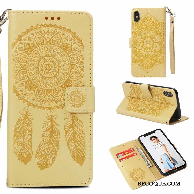 iPhone Xs Coque Peinture Protection Rose Vent Incassable Fleur