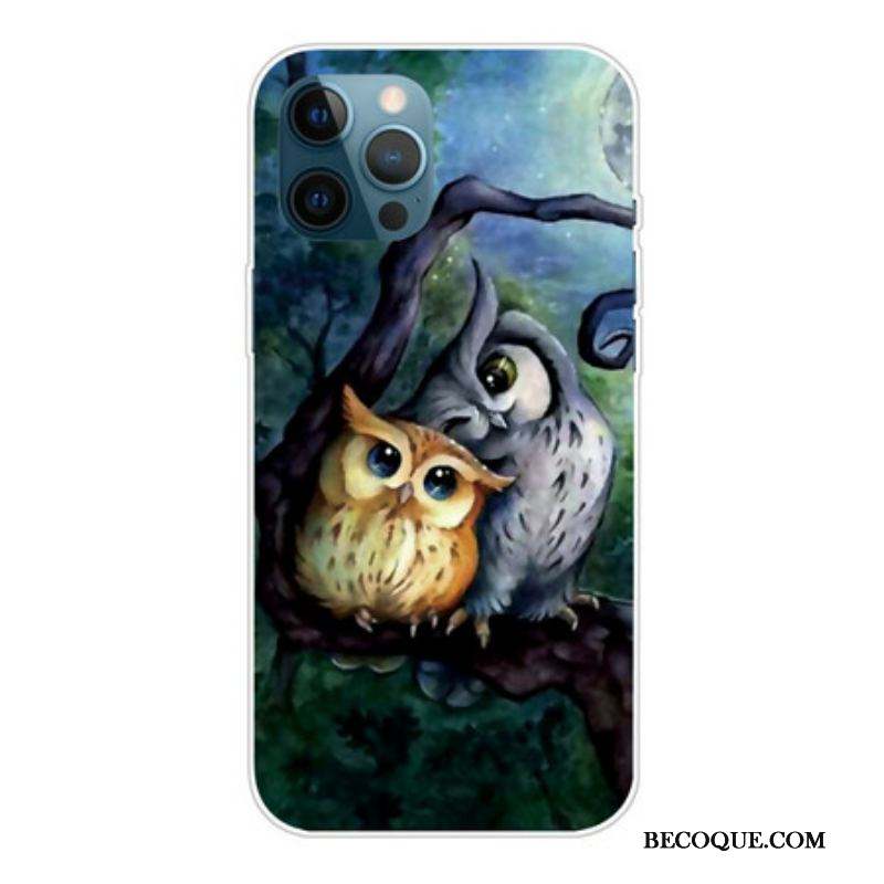 Coque iPhone 13 Pro Max Peinture Hiboux