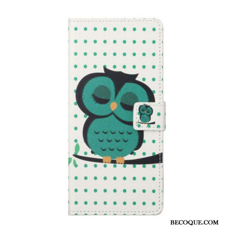 Housse Samsung Galaxy S21 5G Hibou Endormi