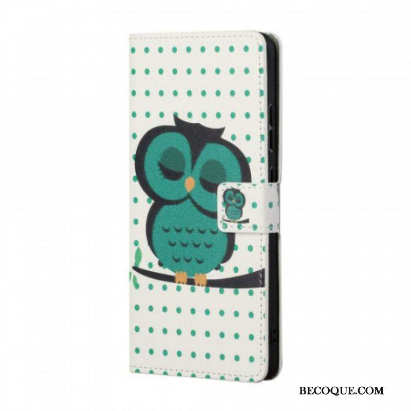 Housse Samsung Galaxy S22 Plus 5G Hibou Endormi