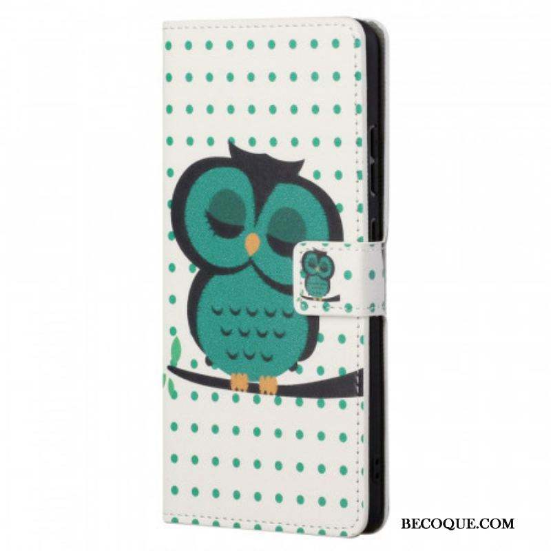 Housse Xiaomi Redmi Note 11 / 11s Hibou Endormi