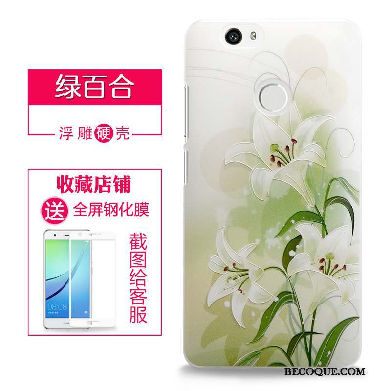 Huawei Nova Protection Coque De Téléphone Téléphone Portable Étui Difficile Gaufrage