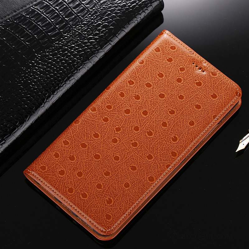 Huawei Y6 Pro 2017 Coque De Téléphone Étui Marron Cuir Véritable Oiseau Housse