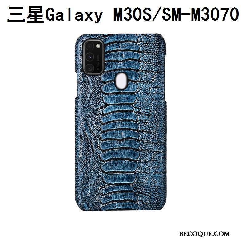 Samsung Galaxy M30s Bleu Oiseau Coque De Téléphone Couvercle Arrière Luxe Mode