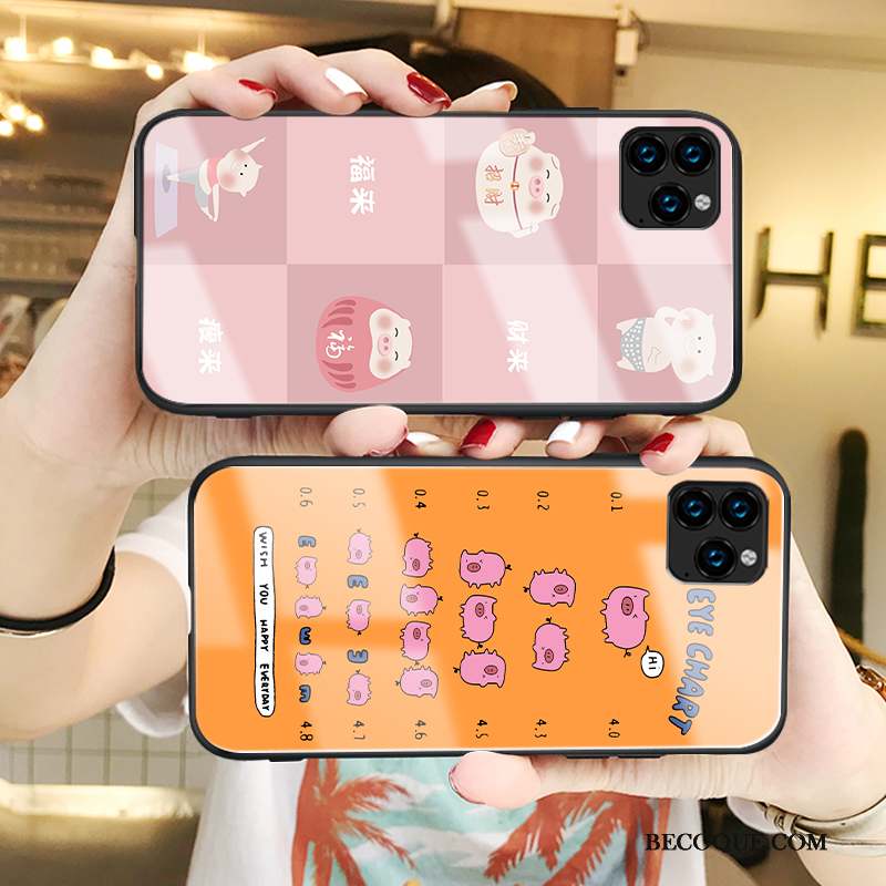 iPhone 11 Pro Coque Incassable Nouveau Verre Rose Amoureux Tout Compris