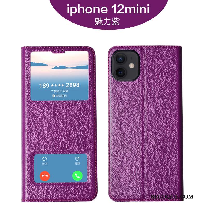 iPhone 12 Mini Tout Compris Fluide Doux Qualité Luxe Incassable Coque De Téléphone
