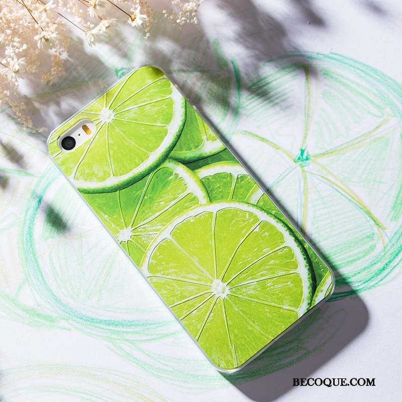 iPhone 5/5s Charmant Vert Coque De Téléphone Créatif Personnalité Dessin Animé